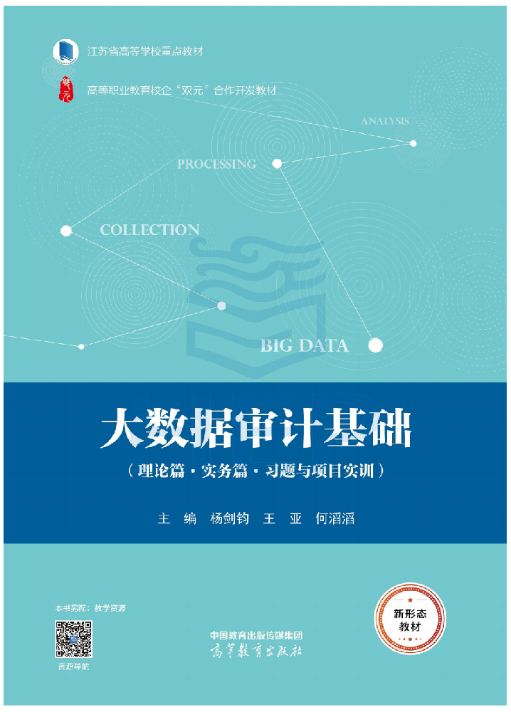 《大数据审计基础》教材展示